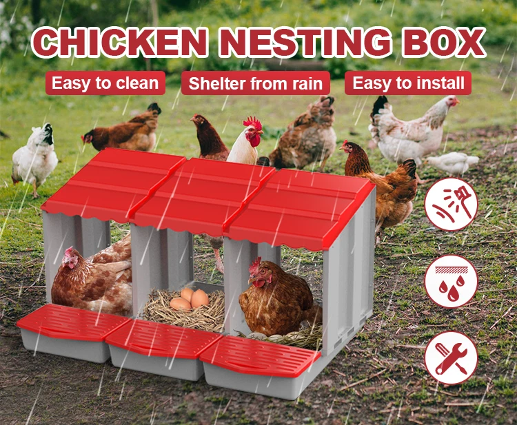 Plastic Laying Box Roll Out Automatic Chicken Egg Nest Boxes Chicken