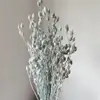 Blu-chiaro