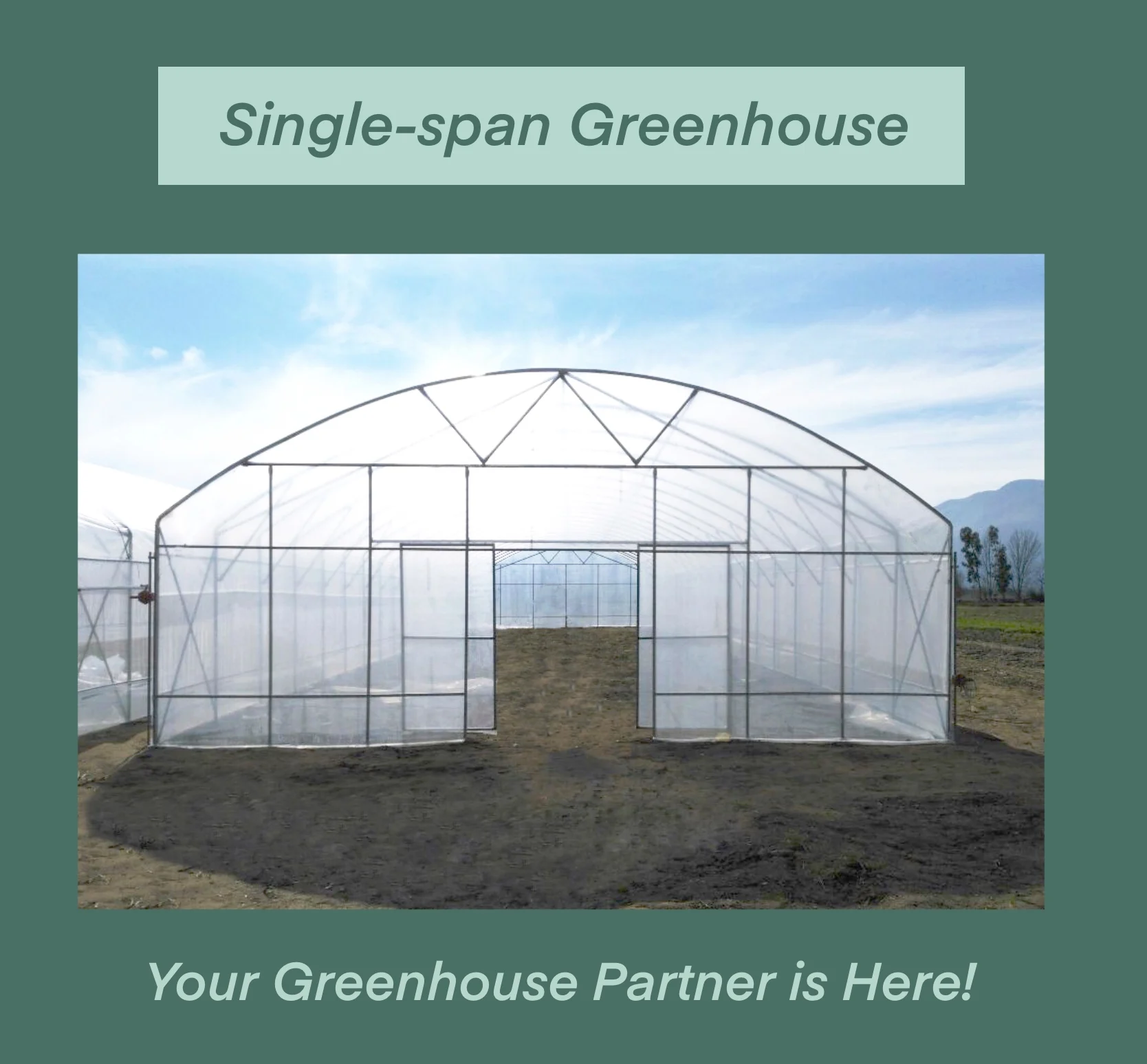 Wholesale Customized Cheap 10year Warranty Poly Carbonate Sheet