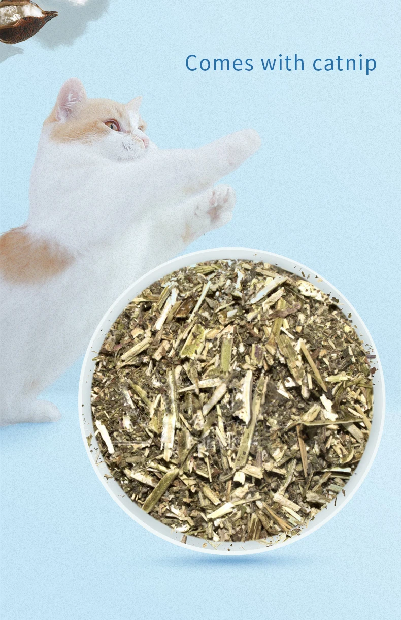 AFP  Soft Plush Catnip Cat Chew Kicker Toys Fun Chopped Tuna Mackerel Fish Cat Cuddler Toy for Cats Exercise