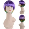 Short Wig