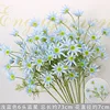 Light blue six-headed blue star flower branch