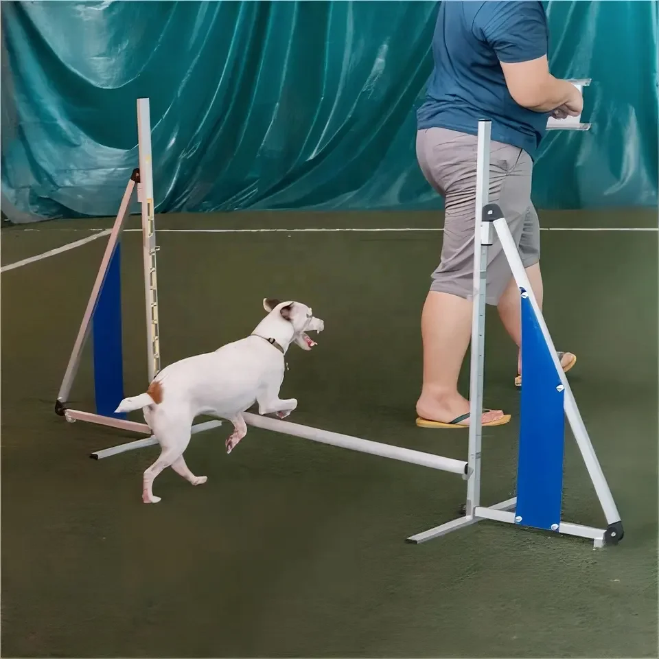 Factory New Design Dog Agility Equipment Aluminum Foldable Hurdle Dogs  Training Equipment Agility Training Kit Dog Agility Jump