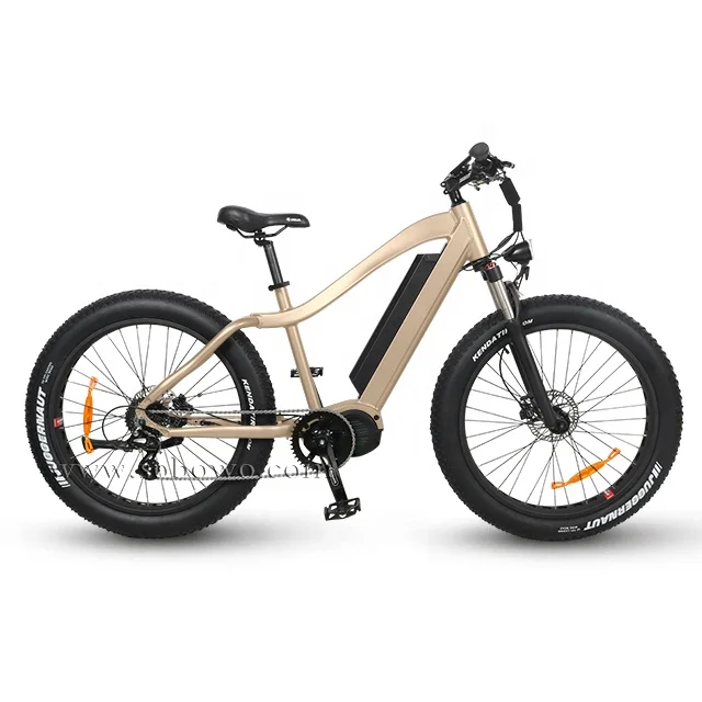 sobowo electric bike price