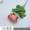 2-headed Dew Lotus YWLZ Pink