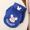 Blue dog with hat