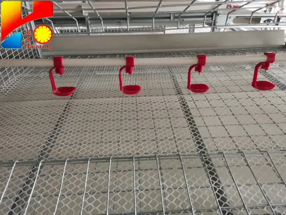 Automatic Poultry Watering Water System for Chicken Broilers Layers Poultry Drinkers Animal Drinkers