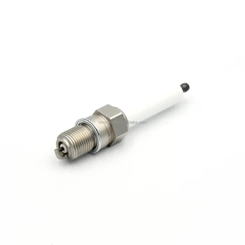 ぽんすけ Waukesha 69919D Spark Plug - Reliable Performance for