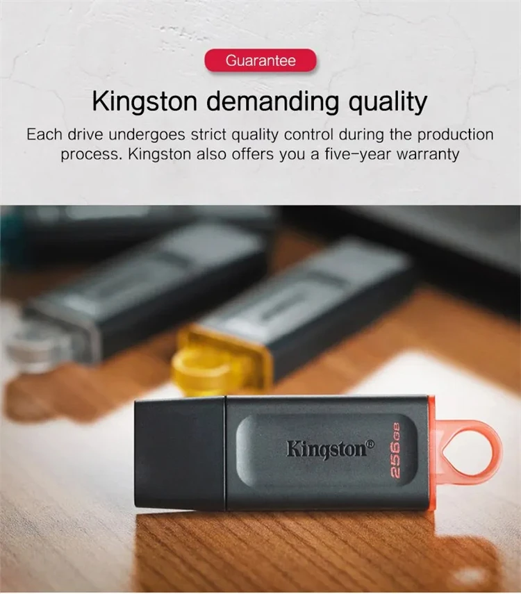 Kingston DataTraveler SE9 256GB USB Flash Drive | USB 3.2 Gen 1 Metal Flash Drive