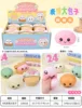 12pcs/ display boxes