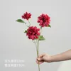 3-headed dahlia - red