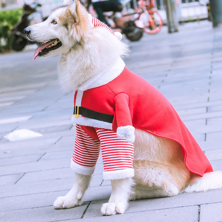 white christmas dresses Pet's Christmas Costume Cosplay – My Store main image 1