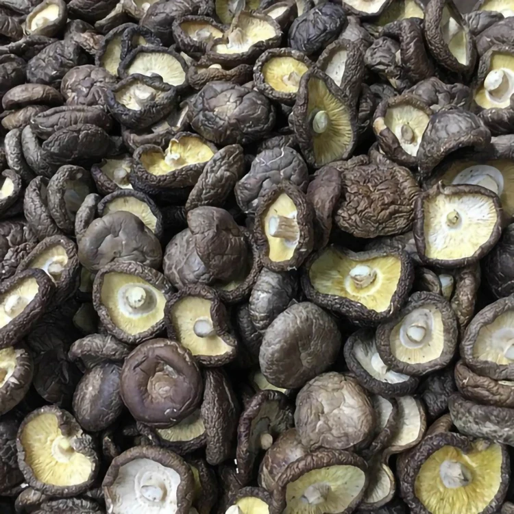 dried mushroom