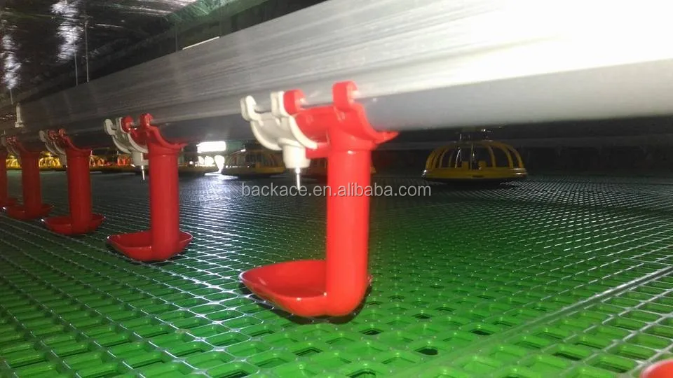 Automatic Poultry Watering Water System for Chicken Broilers Layers Poultry Drinkers Animal Drinkers