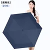 Navy-21 inch