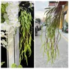 Hanging willow catkins-green