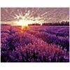 1222 provence lavender