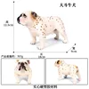 Bulldog bianco grande M-862 colorato [0,712 kg]