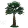 Palmera de abanico grande