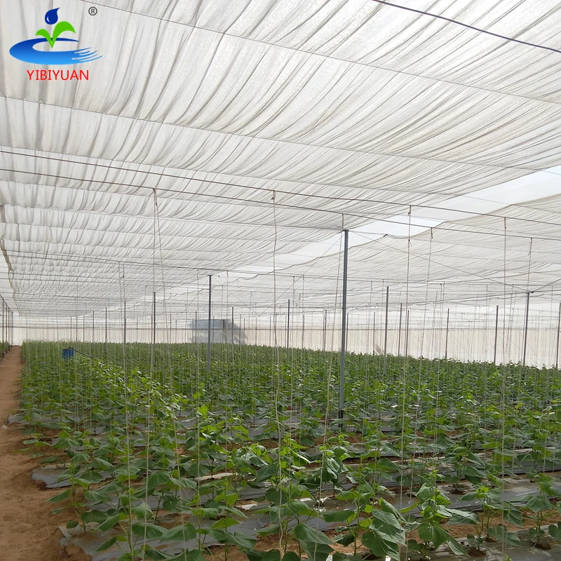 Greenhouse Vegetables 50 Percent Shading Net Roll Agricultural Uv Resistant White 40% Shade Net