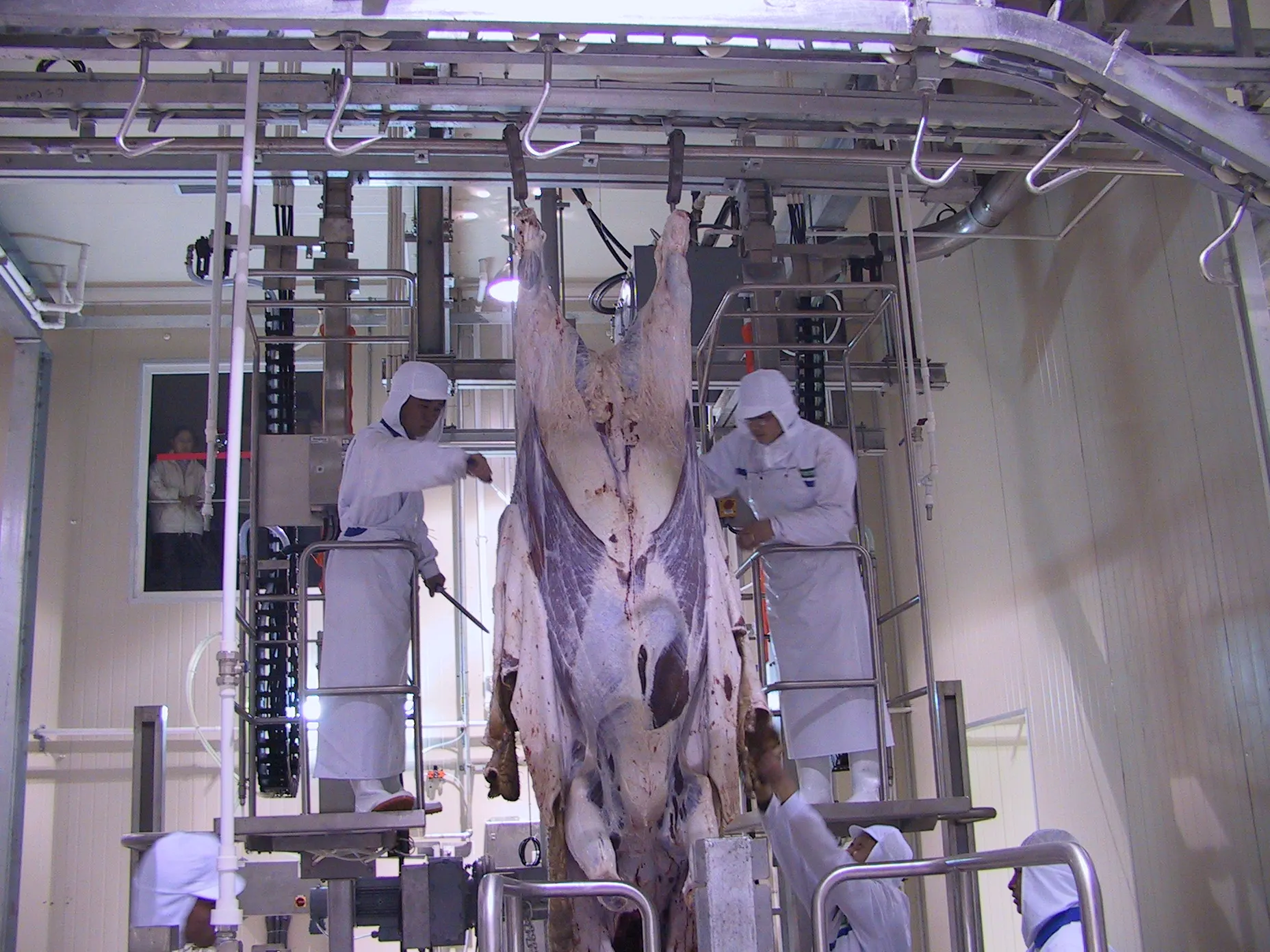 Butchery EquipmentCattle Carcass Hydraulic Transfer Hoist Bull Abattoir Bovine Machine Halal