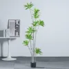 9-headed lily bamboo - 160cm