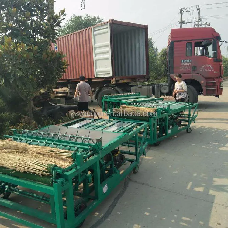 Automatic 1 Meter Reed Mat Making Machine Rice Straw Curtain Mat Sewing