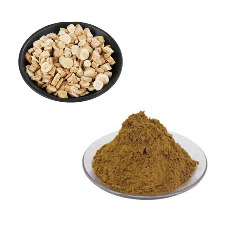 工厂供应天然板蓝根体育草药提取物粉末