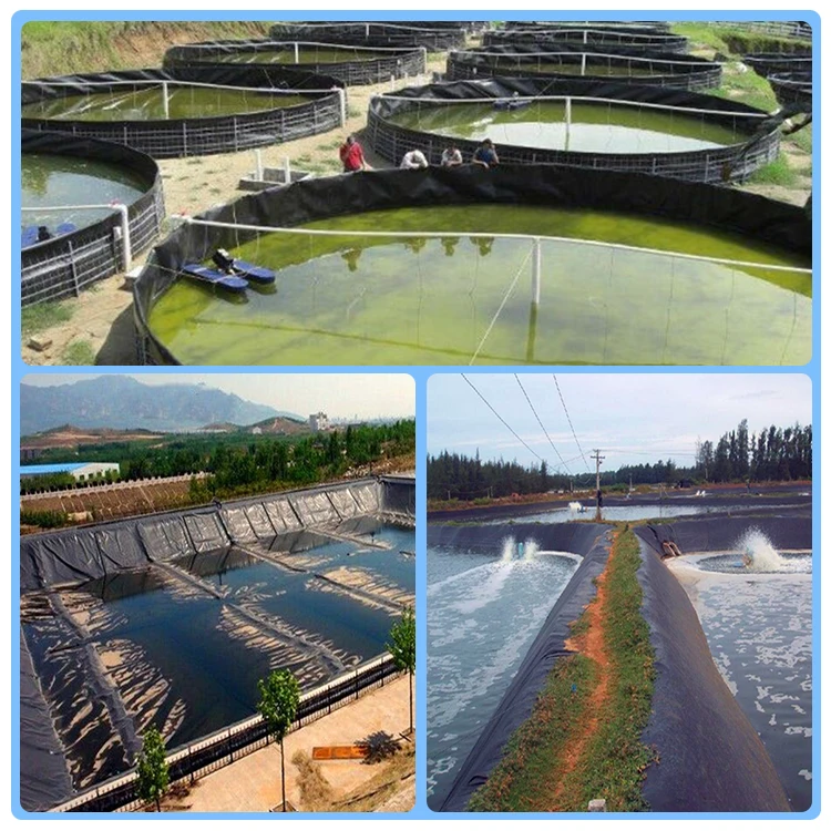 500 Microns HDPE Geomembrane