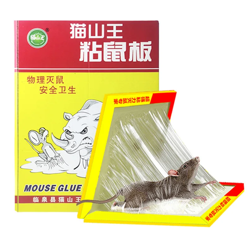 Best Sticky Mouse Traps