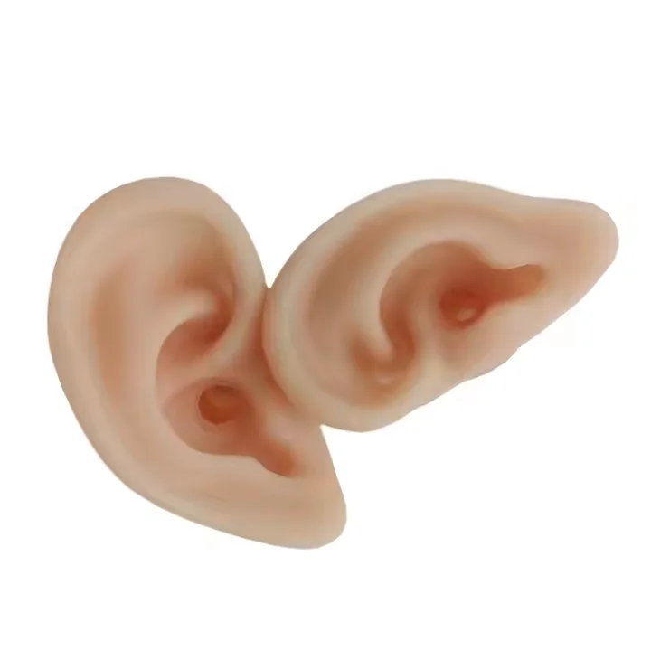 Medical Training Anatomical Model Soft Silicone Human Ear for Suturing Ear Sampling Science and Teaching Tool Organ Model