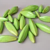 Green Set