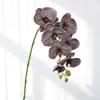 Purple Green