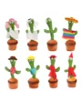 Cactus without clothes  USB