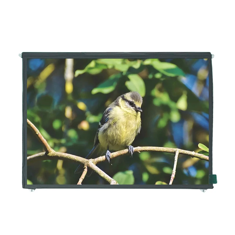 9.7 inch TFT LCD Display 1024X768 Resolution LVDS Interface 30 Pin Panel for Portable Televisions