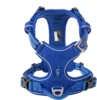 azul 1