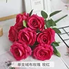 Rose garance