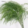 Five-pronged dragon beard grass