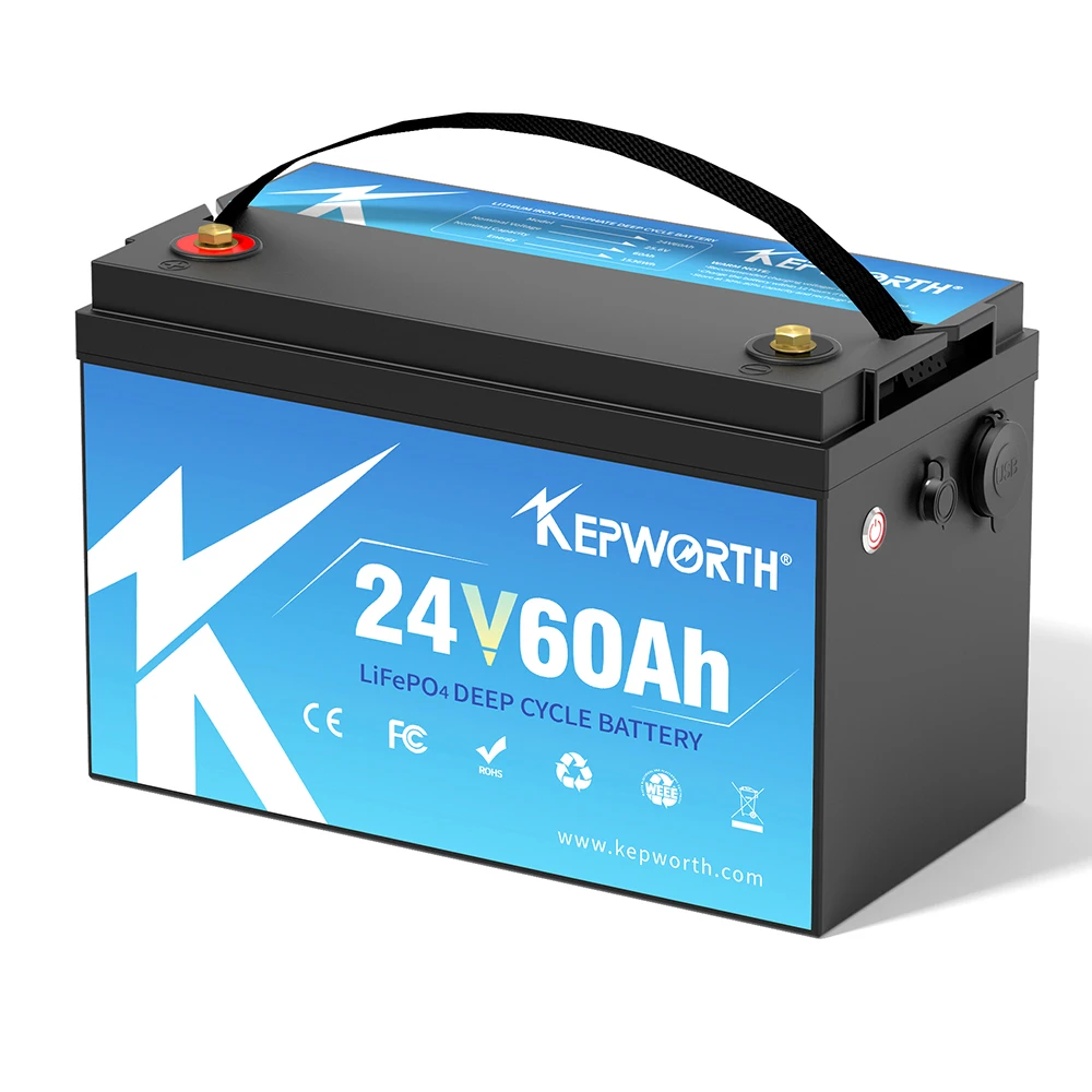 24V 60Ah LiFePO4バッテリーパック内蔵BMSリチウムイオンディープ 