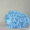 Azzurro cielo/pezzo