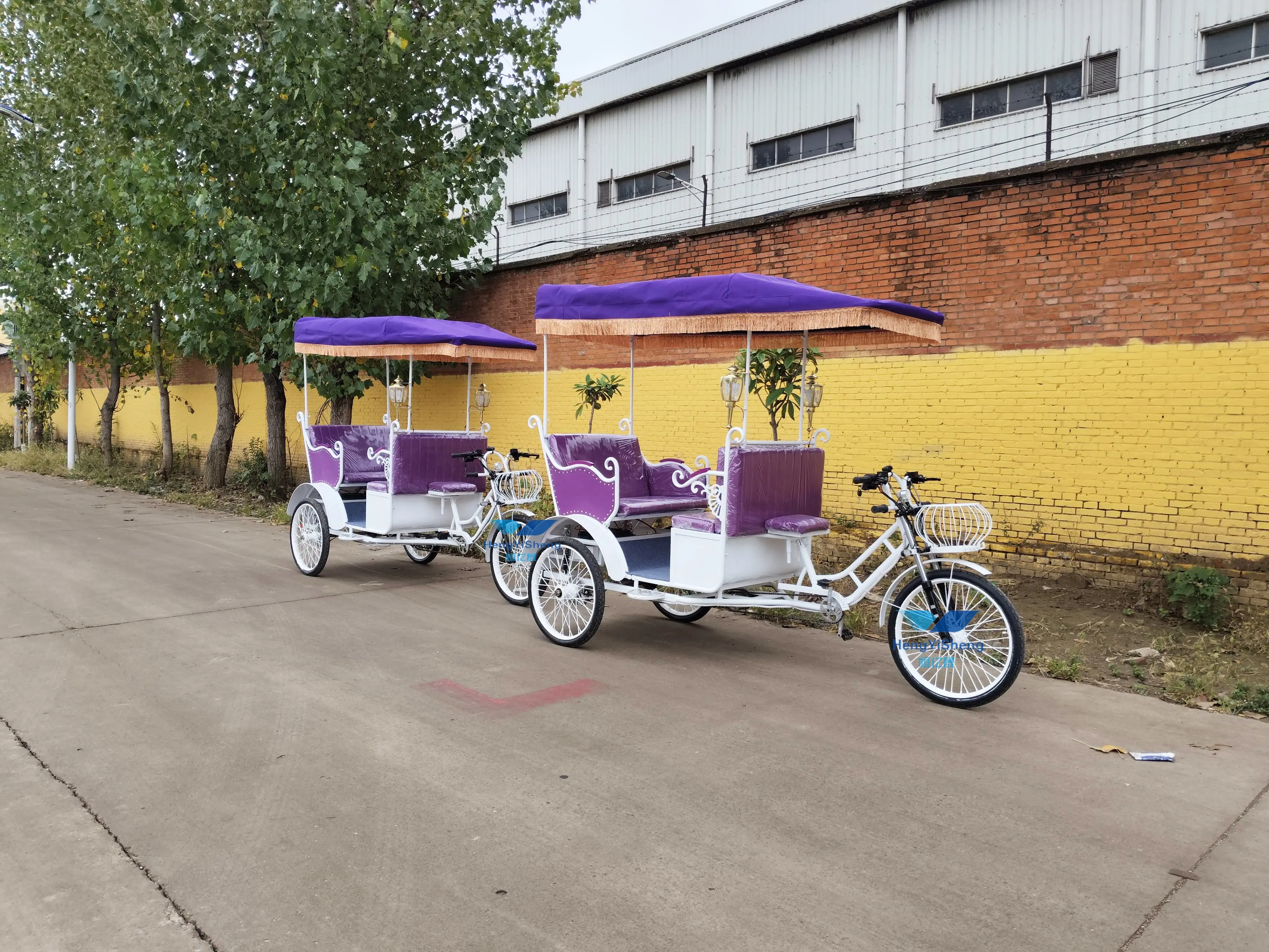 Peddle Rickshaw Luxurious Pedicab Rickshaw Tuk Tuk Taxi 3 Wheel Bike/pedal Pedicab ...