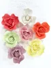 สีชมพู#8