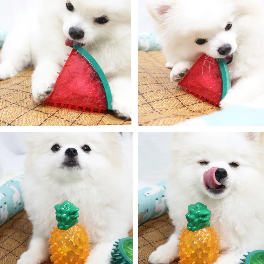 2023 New Summer Ecofriendly Frozen Indestructible Teething Squeaky Tpr Dog Chew Toys Pet Water