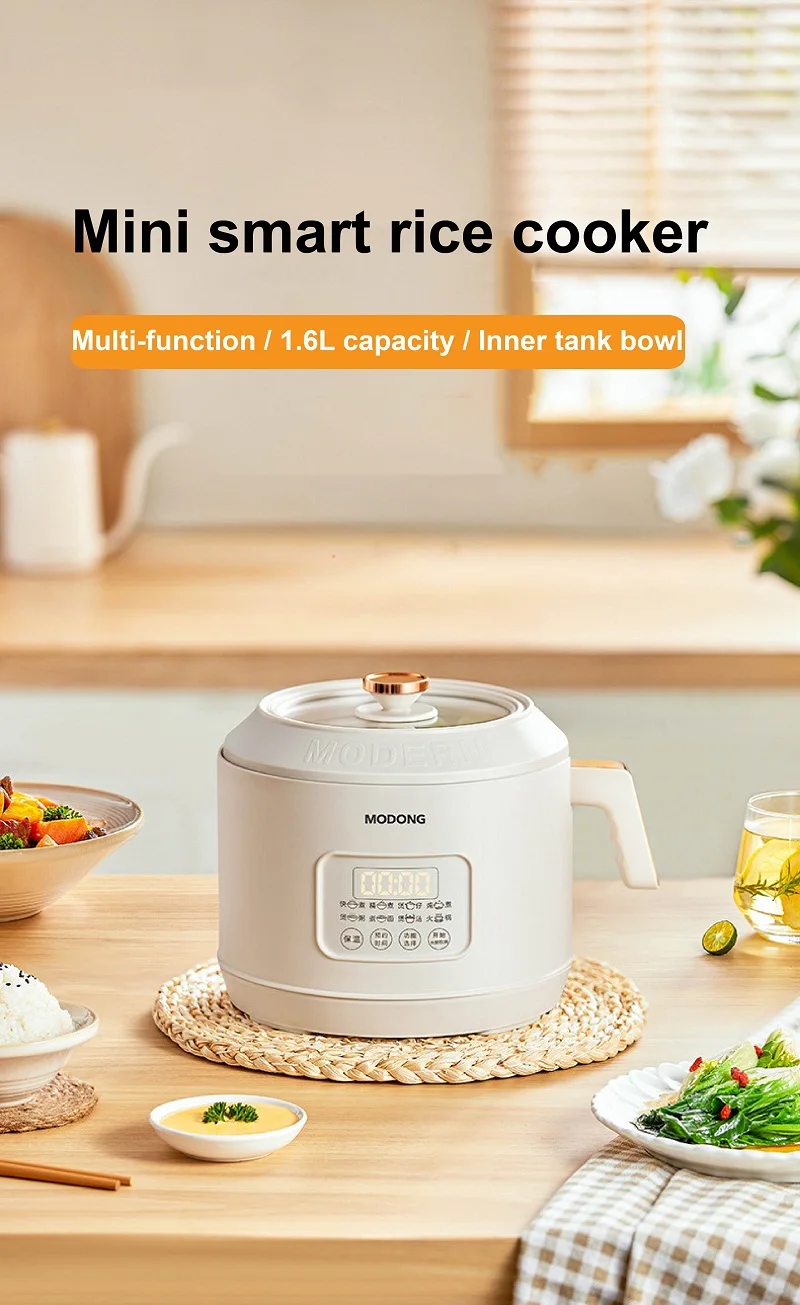 Noodle Cooker Household Rice Cooker Multi-Function Rice Cooker, Mini Rice  Cooker Cooking Soup - China Multifunctional Electric Cooke and Cooking Pot  price