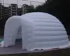 Avorio