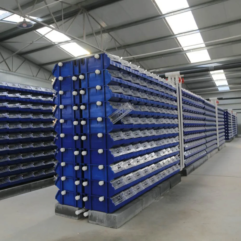crab boxes