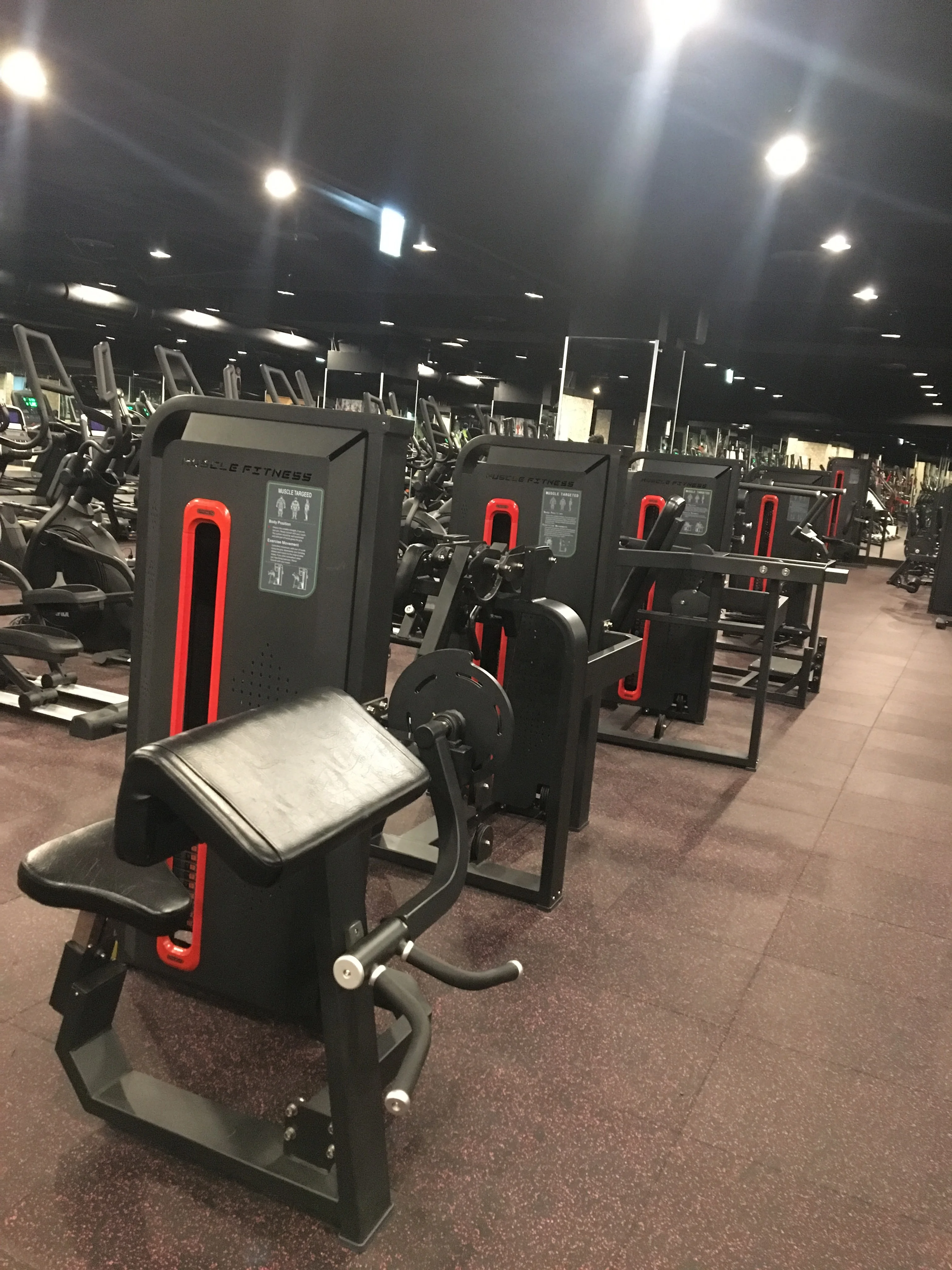 Triceps Biceps Curl Machine Commercial Gym Equipment Club Strength JLC-HM03S Pin Load Selection Machines