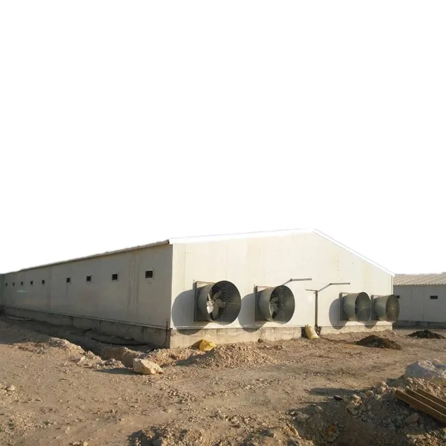 1200 M2 Large Span Prefab Steel Structure Poultry Farm Shed for Broiler Fatten Chicken Poultry House