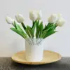 bianco latte