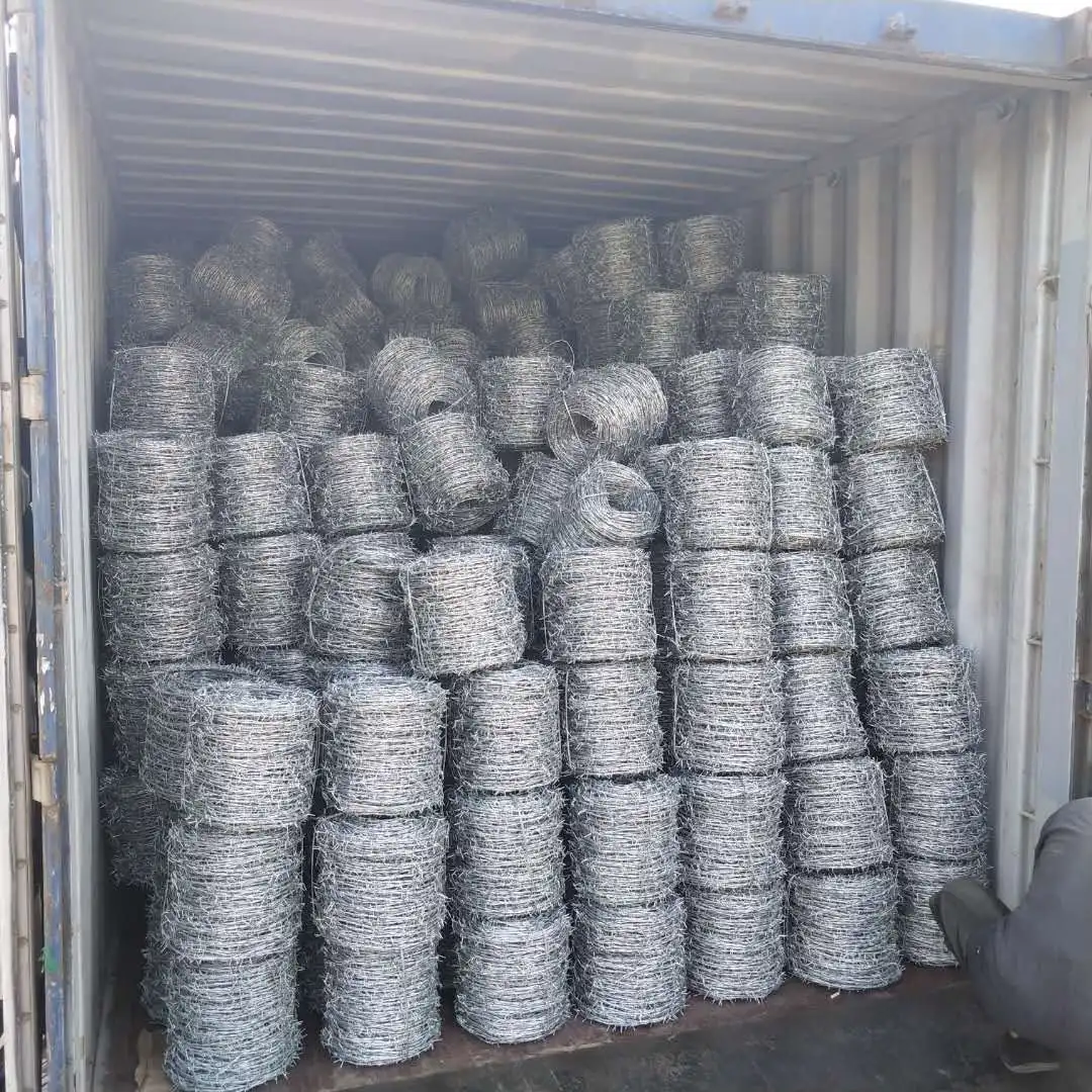 Galvanized Material Barbed Wire Price Philippines Barb Wire Fencing